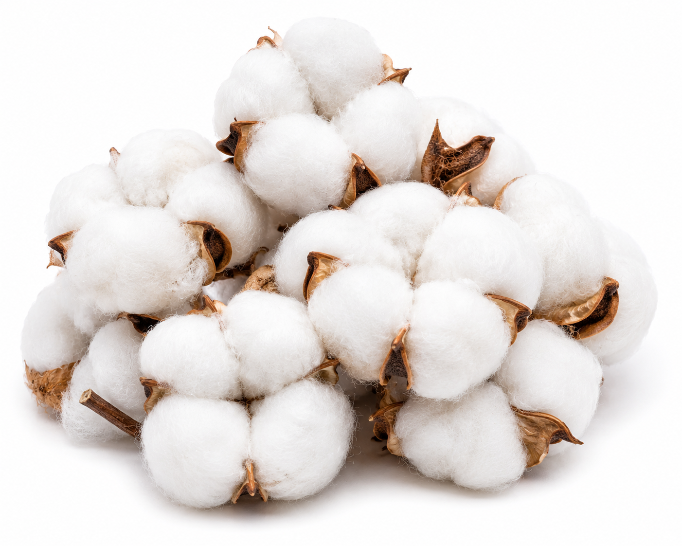 Cotton