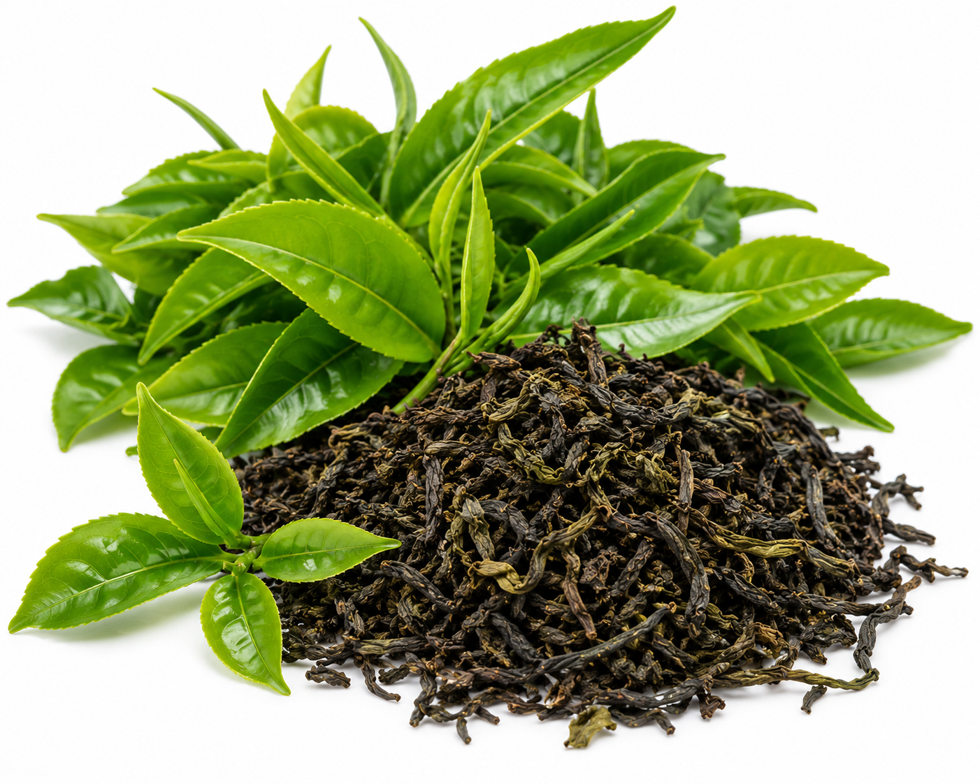Tea Leaves